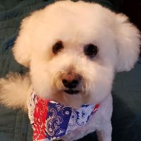 Aylett Animal Hospital ico