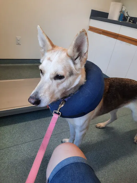 Aylett Animal Hospital 5