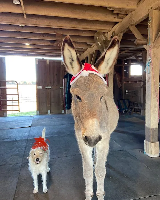 River Equine Veterinary Services, PLLC 10