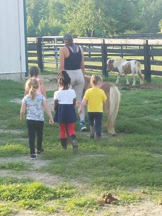 River Equine Veterinary Services, PLLC 5