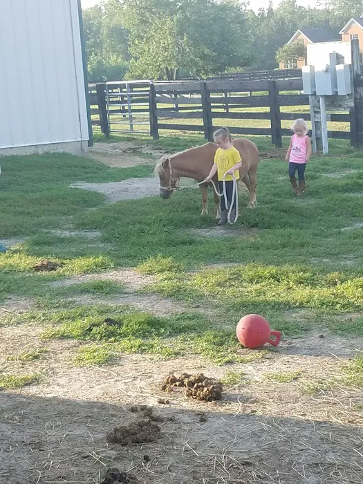 River Equine Veterinary Services, PLLC 2