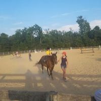 River Equine Veterinary Services, PLLC ico