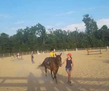 River Equine Veterinary Services, PLLC