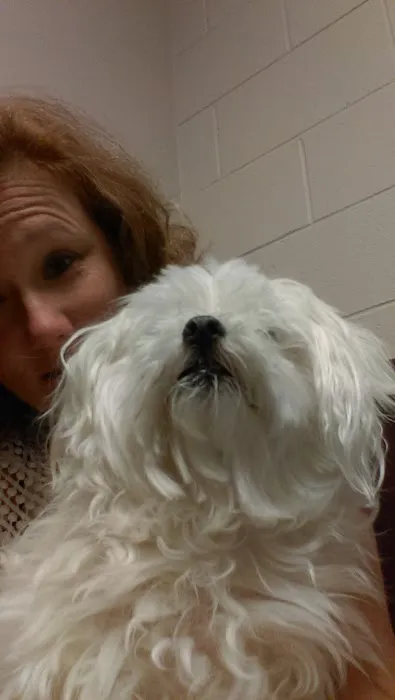 VCA New Kent Animal Hospital 2