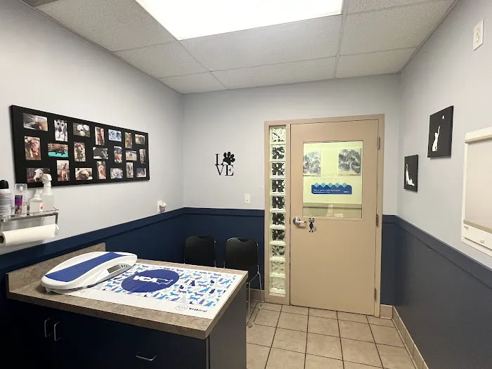 VCA New Kent Animal Hospital 7