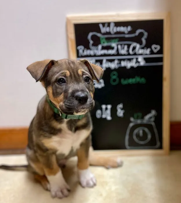 Riverbound Veterinary Clinic 8
