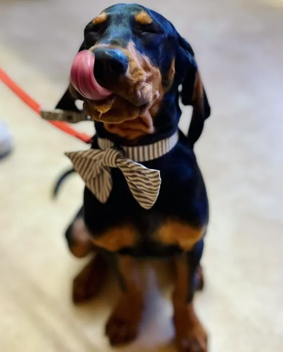 Riverbound Veterinary Clinic 10