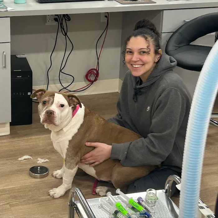 Veterinary Specialists Of Hanover 9