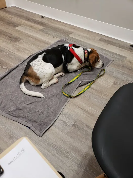 Veterinary Specialists Of Hanover 4