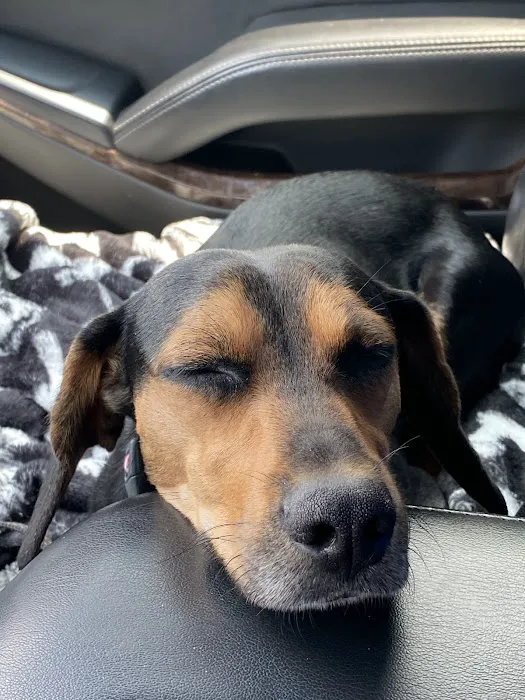 Fixin' to Save Spay & Neuter Clinic 2