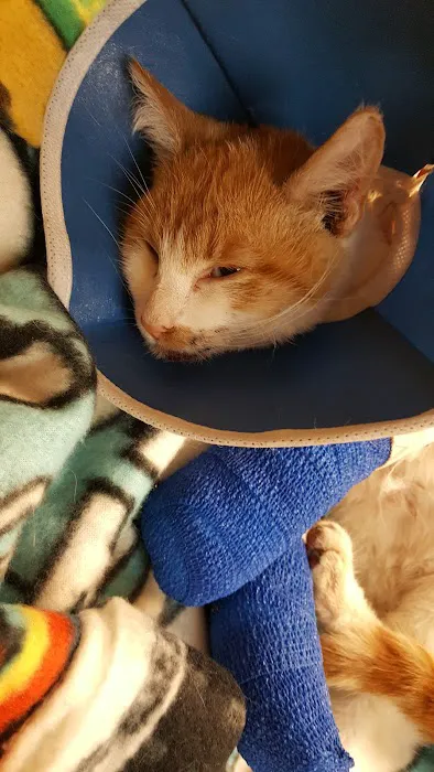 Animal Care of Gloucester 3