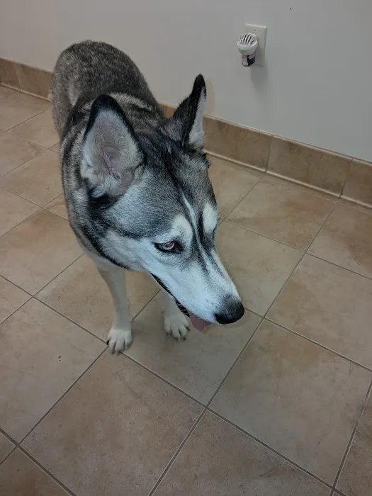 Animal Care of Gloucester 8