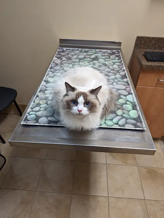 Animal Care of Gloucester 6