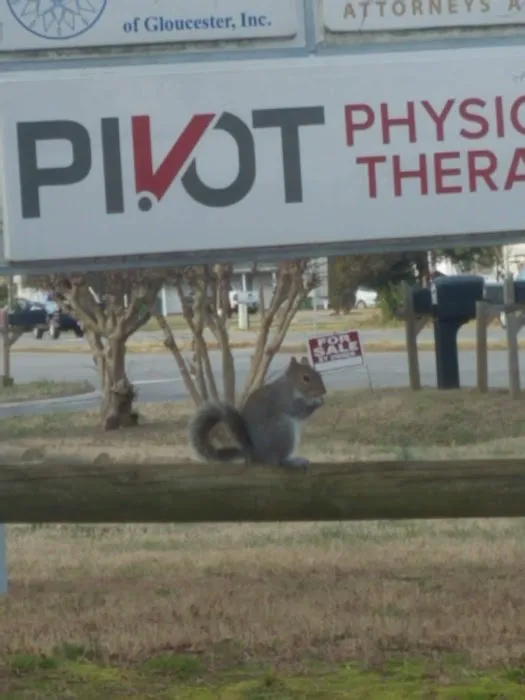 Abingdon Animal Clinic 3