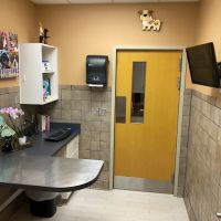 Pouncey Tract Veterinary Hospital ico
