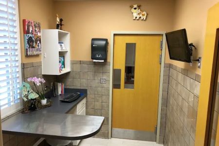 Pouncey Tract Veterinary Hospital