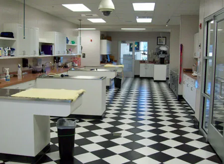 Pouncey Tract Veterinary Hospital 5