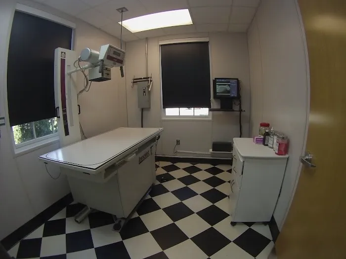 Pouncey Tract Veterinary Hospital 9