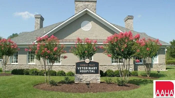 Pouncey Tract Veterinary Hospital 8