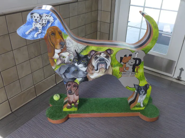 Pouncey Tract Veterinary Hospital 6