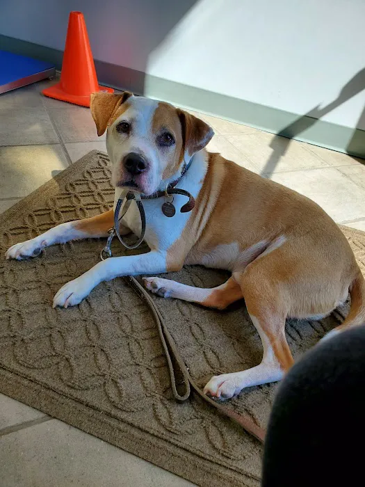 Shady Grove Animal Clinic 6