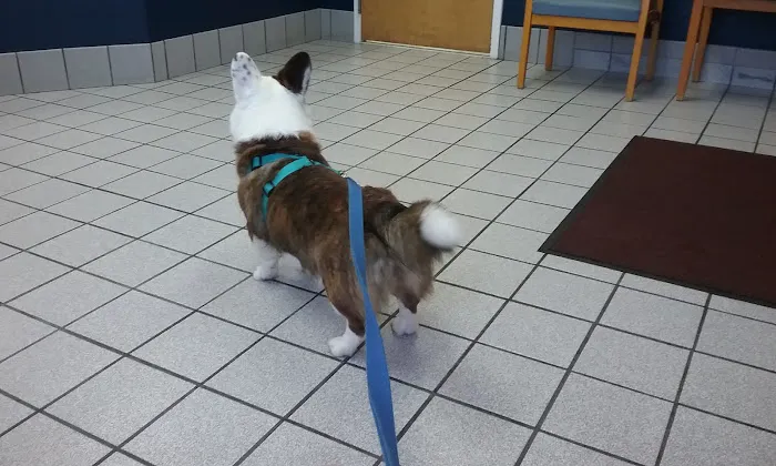 Manakin-Sabot Veterinary Clinic 4