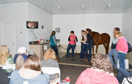 Virginia Equine Pllc 6