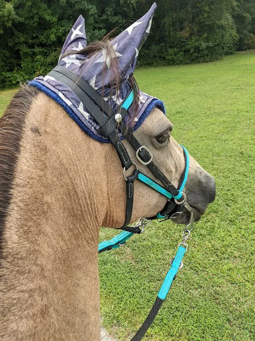 Virginia Equine Pllc 3