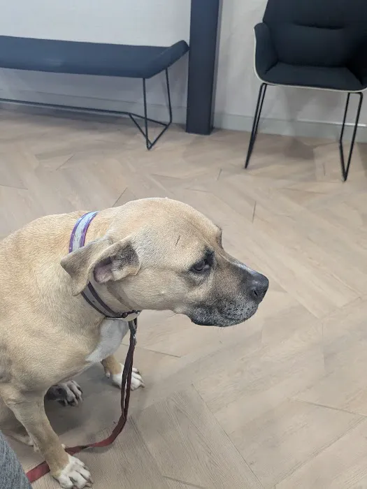 Virginia Veterinary Centers Short Pump 5