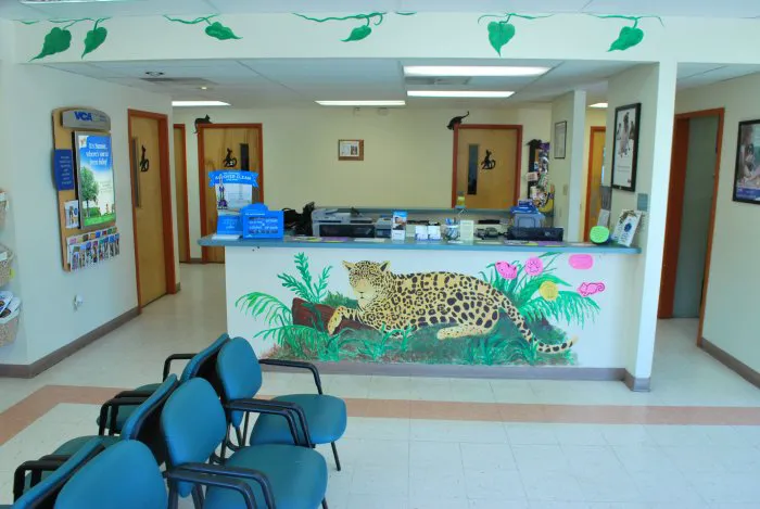 VCA Pets First Animal Hospital 12