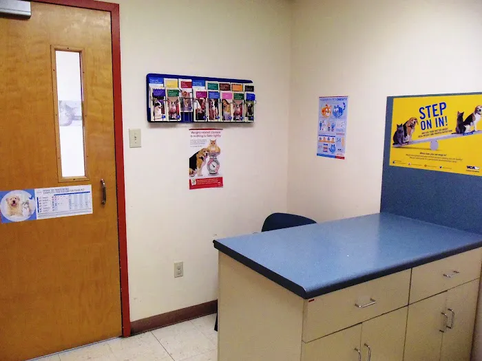 VCA Pets First Animal Hospital 12