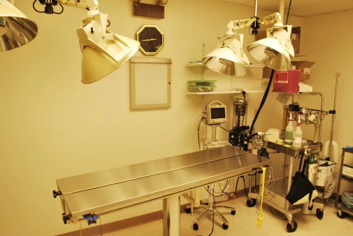 VCA Pets First Animal Hospital 12