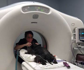The Oncology Service - Richmond
