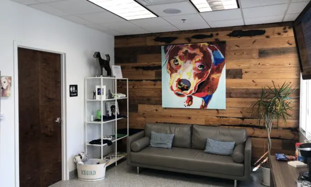 The Oncology Service - Richmond 2