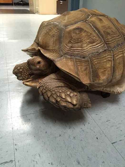 Lakeside Animal Hospital 9
