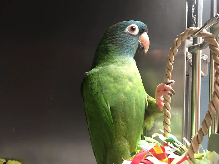 Lakeside Animal Hospital 5