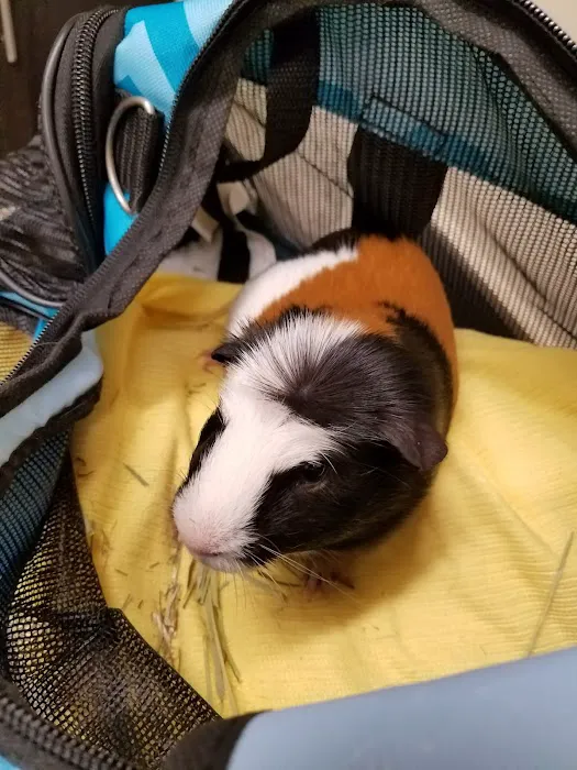 Lakeside Animal Hospital 3