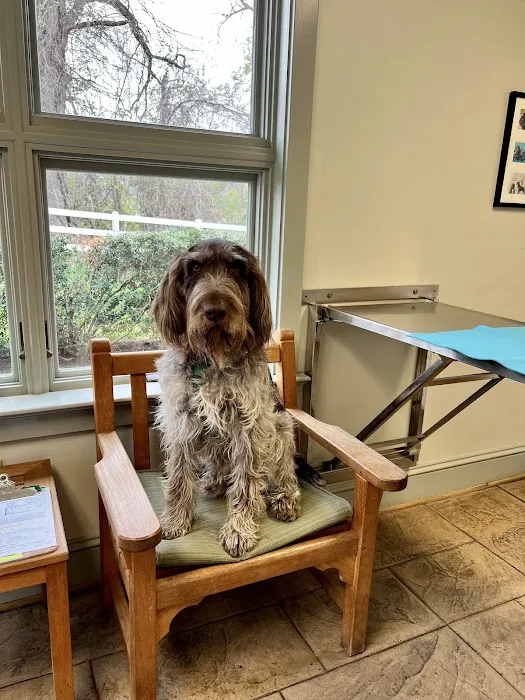 Springfield Veterinary Center 12