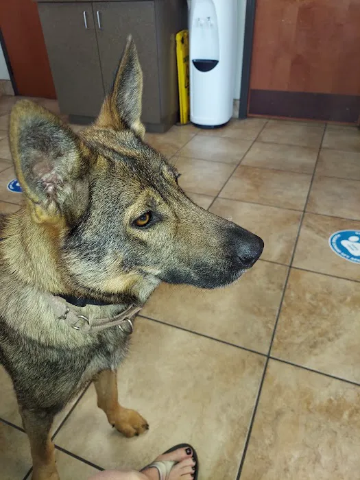 Petco 12