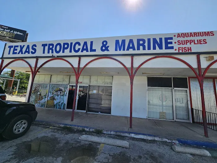 Texas Tropical & Marine 12