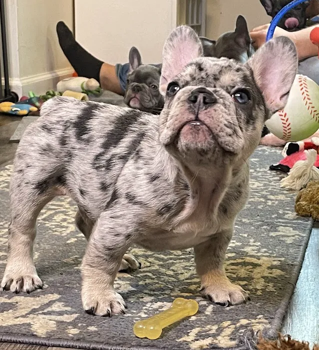 Crossroads West Veterinary Center 12
