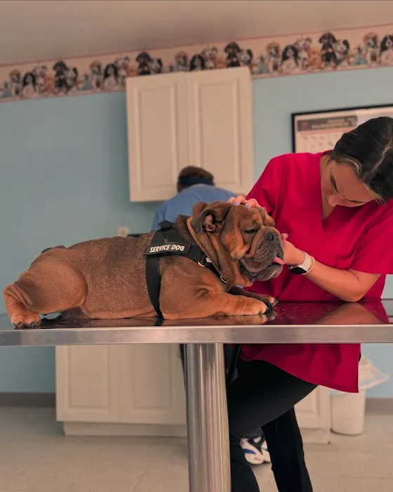 Crossroads West Veterinary Center 12