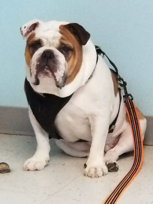 Crossroads West Veterinary Center 12