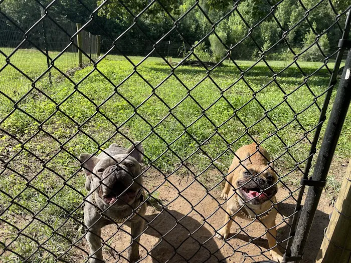 Crossroads West Veterinary Center 12