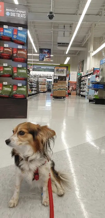 Petco 4
