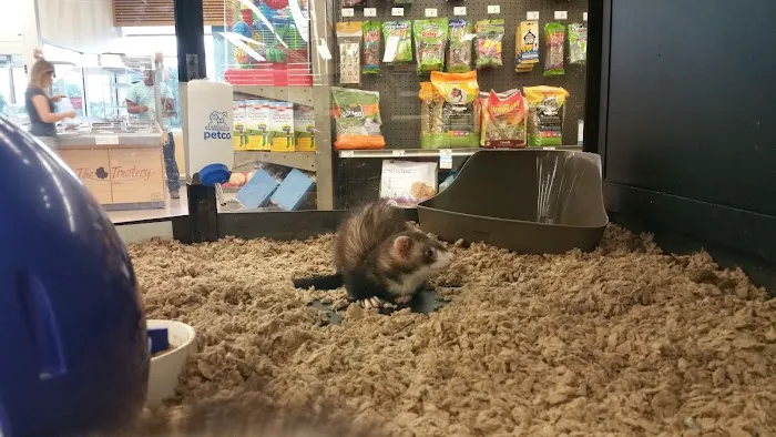 Petco 10