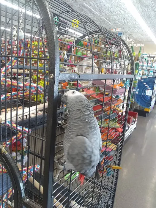 Pet Supplies Plus San Antonio - Babcock 8