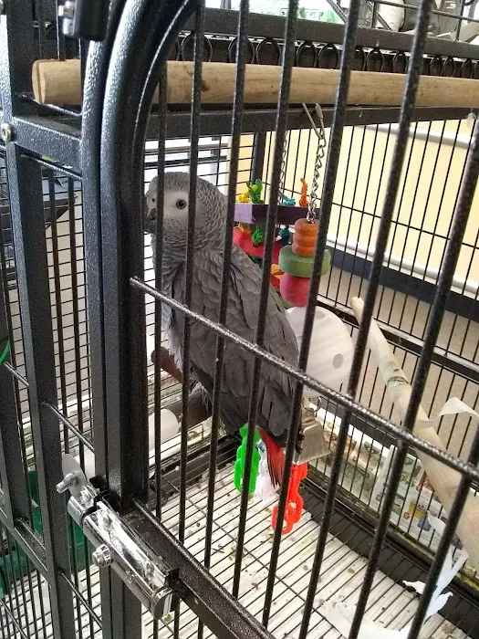 Pet Supplies Plus San Antonio - Babcock 4