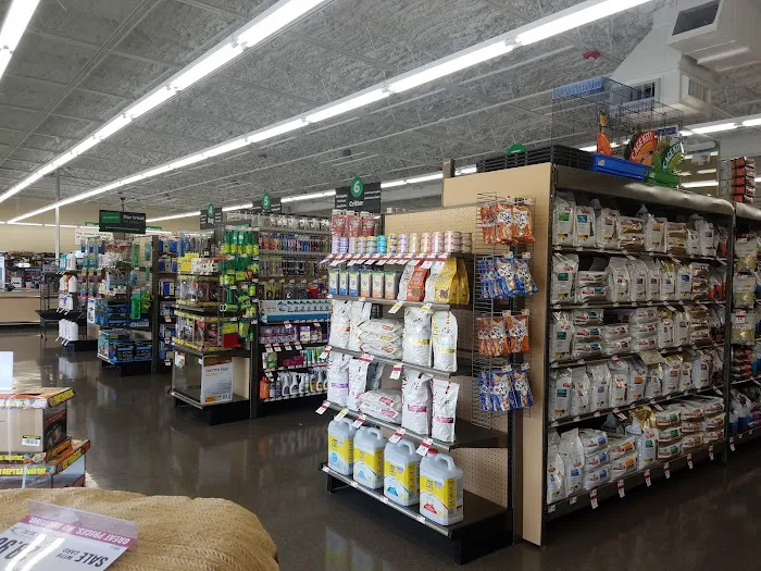 Pet Supplies Plus San Antonio - Babcock 9