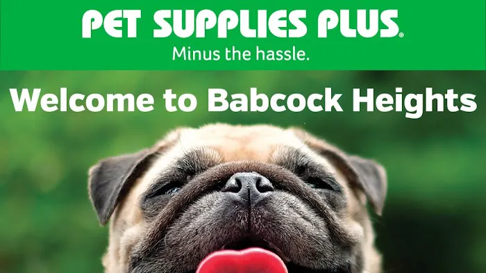 Pet Supplies Plus San Antonio - Babcock 5